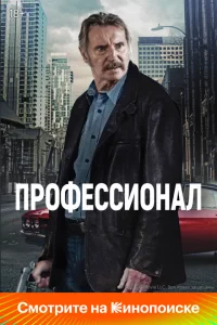 Профессионал онлайн